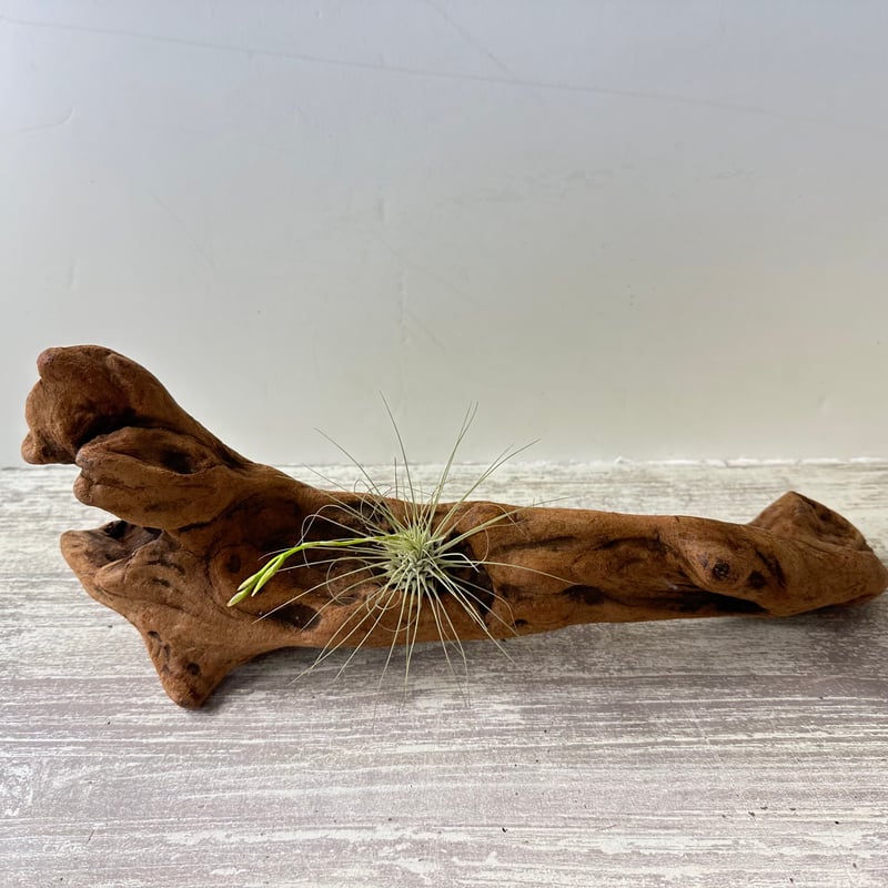 流木 逸品 天然物 オブジェ 一点物