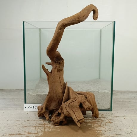 CATEGORY マングローブ系流木 | 流木専門店のアクアリバー