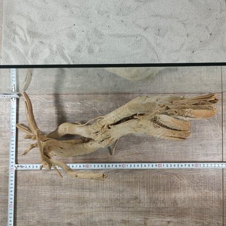 龍のような希少流木ナチュラルブランチ　3Lサイズ　W約47㎝