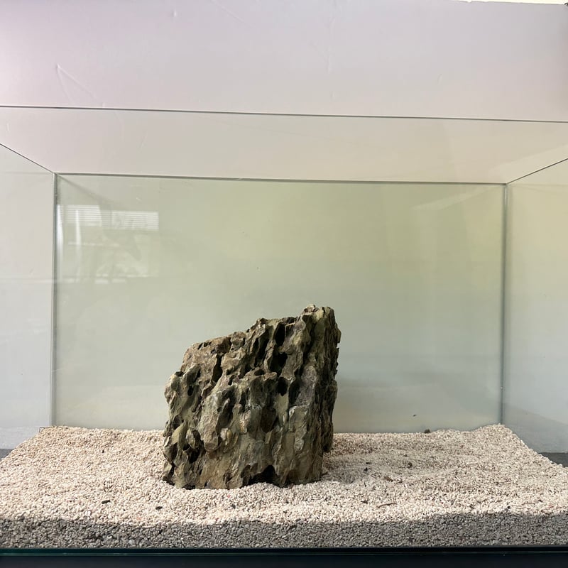 BIG気孔石塊 1点もの No.5012（W約23cm)(60cm水槽） | 流木専門店の
