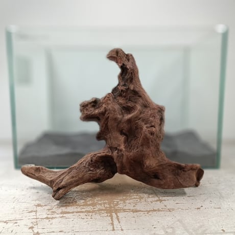 CATEGORY Mサイズ | 流木専門店のアクアリバー/アクアリウム/グリーン