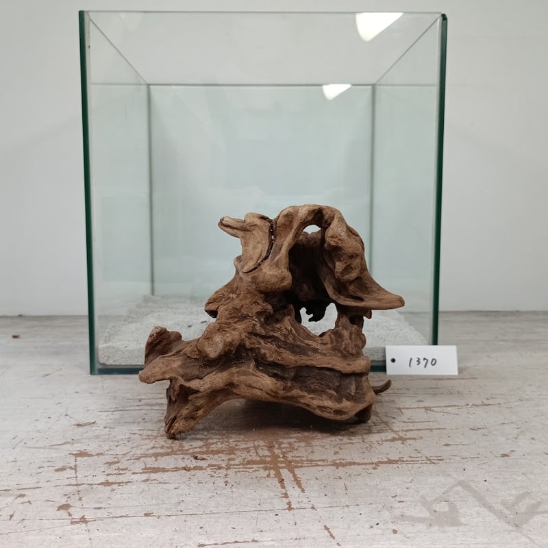 奇跡の流木 鮫モデル　流木 奇跡の流木🪵 