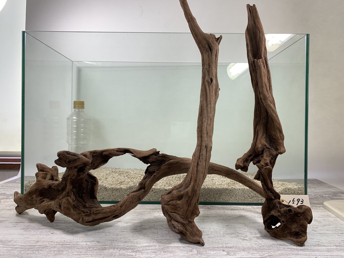 マングローブ系流木 BIGスティック3本組入荷しました！ | 流木専門店