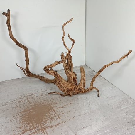 CATEGORY ブランチ系流木 | 流木専門店のアクアリバー/アクアリウム