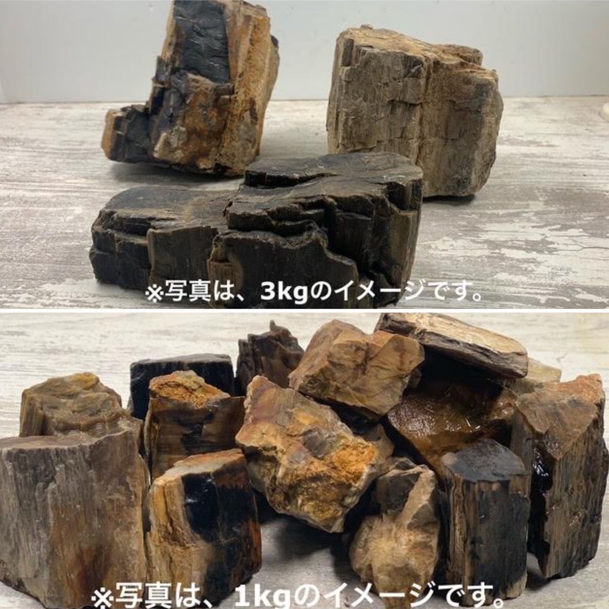木の化石4点セット 木化石・MIX（レギュラー3kg セット＋ミニ1kg）セット（kgあたり600円