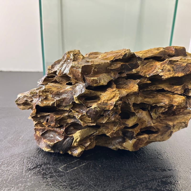 BIG気孔石 1点もの No.5563（W約27cm)(60cm水槽） | 流木専門店の