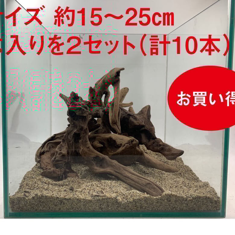 マングローブ系流木 Sサイズ15cm〜25cm おまかせ5本×2セット（合計10本
