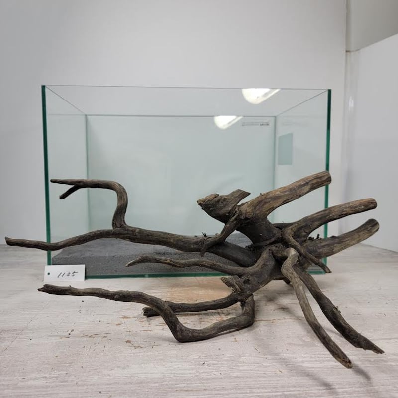 ネシア流木 ブラックタイプ 2Lサイズ 1点ものNo.1135【W約50cm