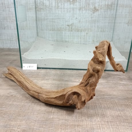 マングローブ系流木   2Lサイズ　オンリーワン ★現物撮影  1点　No.1911(W約44㎝）