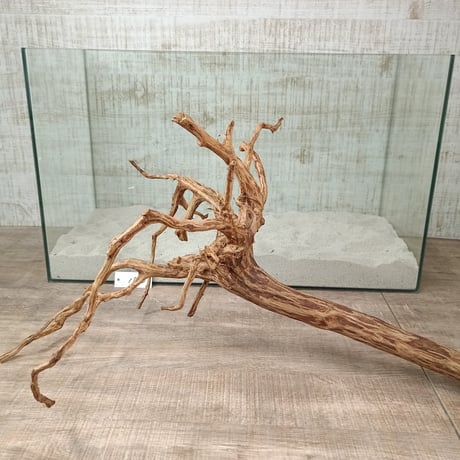 お買い得ロングネシア流木 ブラウンタイプ　3Lサイズ　1点ものNo.1820A【W約 59cm】