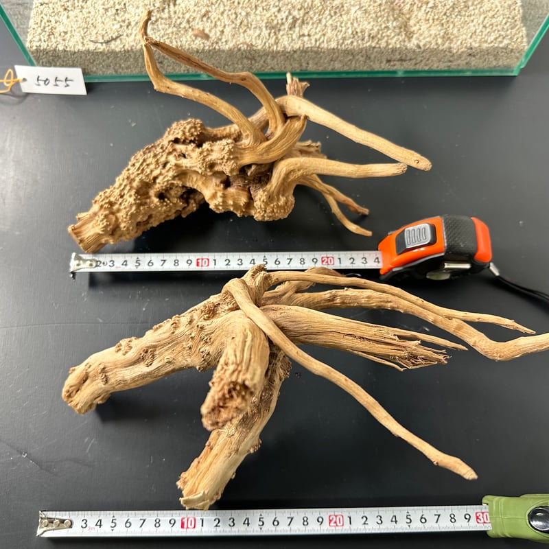 3本組ブランチウッド Lサイズ（1点ものW約25cm-30cm） No.5055 (4