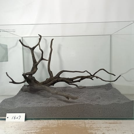 CATEGORY ブラックブランチ | 流木専門店のアクアリバー/アクアリウム