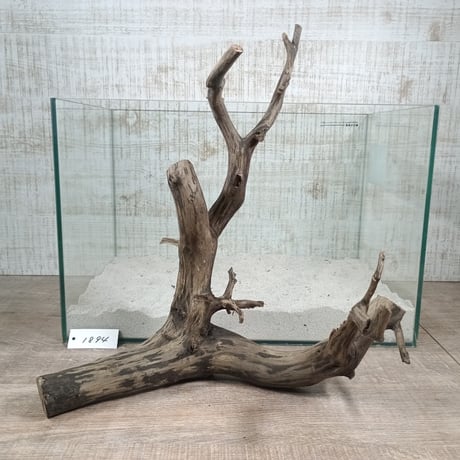 CATEGORY 45cm水槽サイズ | 流木専門店のアクアリバー/アクアリウム