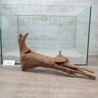 マングローブ系流木   MLサイズ　オンリーワン ★現物撮影  1点　No.1916(W約30㎝）