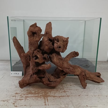 CATEGORY マングローブ系流木 | 流木専門店のアクアリバー