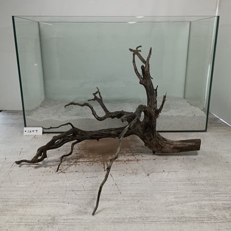 CATEGORY ブランチ系流木 | 流木専門店のアクアリバー/アクアリウム