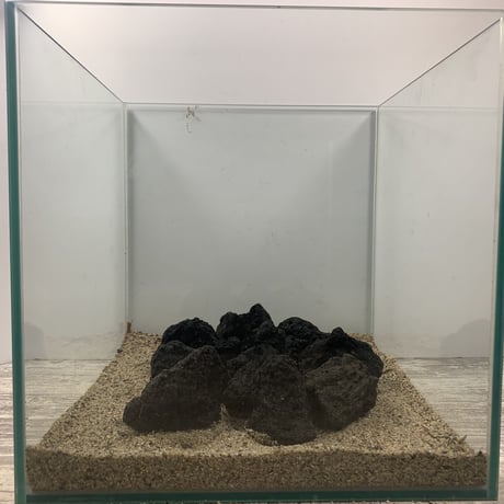 ブラック溶岩石Ｓサイズ（約５cm〜10cm)　 10個セット（お得用）