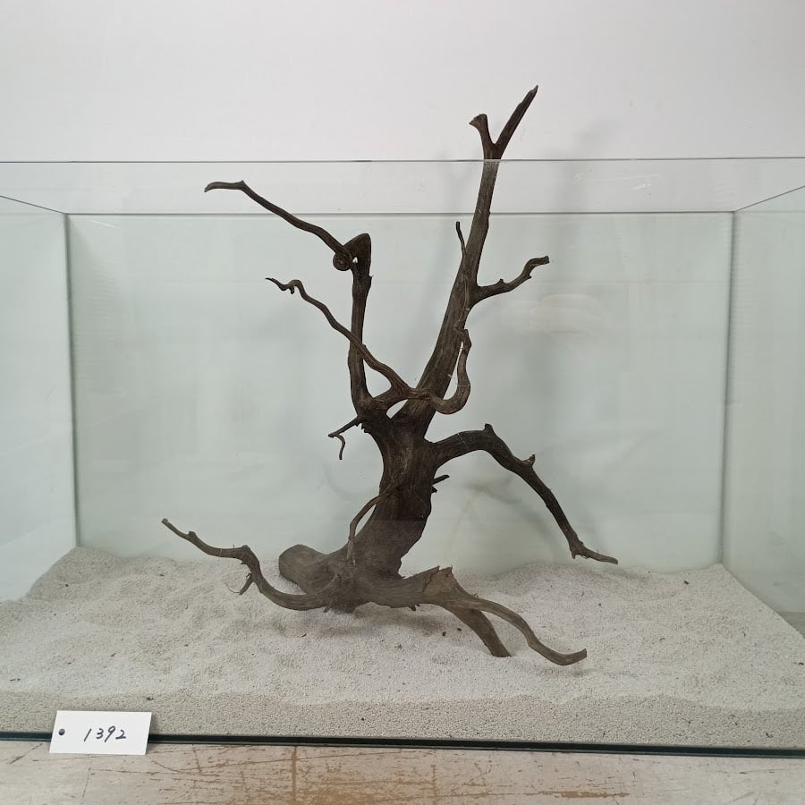 ネシア流木 ブラックタイプ 2Lサイズ 1点ものNo.1392【W約47cm