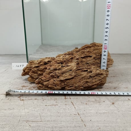 BIG気孔石　１点もの　No.1657（W約27cm)(30cm水槽）