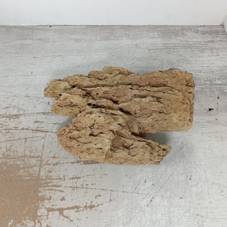 BIG気孔石　１点もの　No.1657（W約27cm)(30cm水槽）