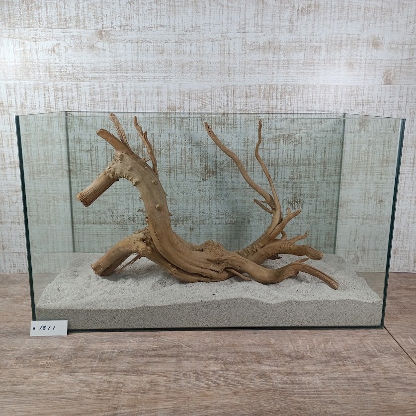 龍のような希少流木ナチュラルブランチ 3Lサイズ W約47㎝ | 流木専門店