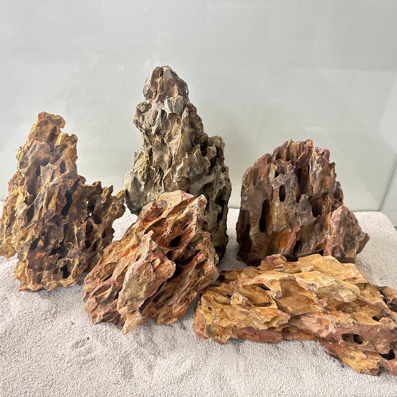 気孔石Mサイズ おまかせ5Kg（kgあたり596円)（60cm水槽） | 流木専門