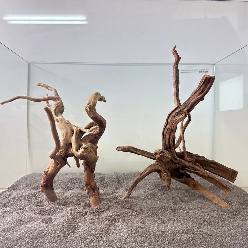 ADA ホーンウッド　HORN WOOD LL ADA ホーンウッドHORN WOOD LL