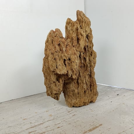 BIG気孔石　１点もの　No.1657（W約27cm)(30cm水槽）