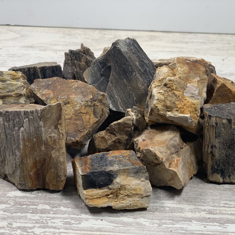 ミニ木化石 １kg セット | アクアリウム流木販売 アクアリバー