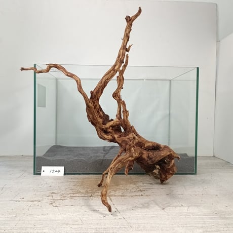 CATEGORY 流木（全種類） | 流木専門店のアクアリバー/アクアリウム