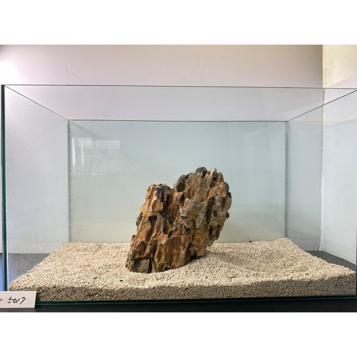 ガラス水槽 60cm 流木 気孔石 セット BIG気孔石塊 1点もの No.5017（W約30cm)(60cm水槽） | 流木専門