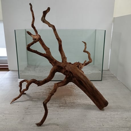 流木専門店のアクアリバー/アクアリウム/グリーンインテリア