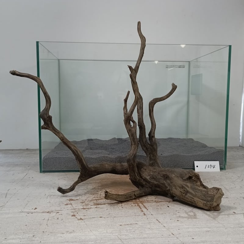 42 杉の流木 42 杉の流木-人気ブランドをセレクト