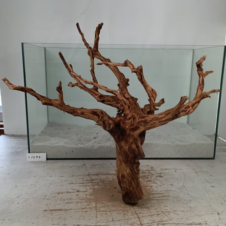 CATEGORY ブランチ系流木 | 流木専門店のアクアリバー/アクアリウム