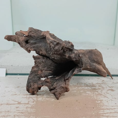 CATEGORY 流木（全種類） | 流木専門店のアクアリバー/アクアリウム