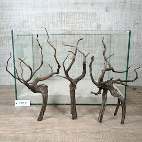 流木　９本　２０cm〜３０cmサイズ CATEGORY 30cm水槽サイズ | 流木専門店のアクアリバー/アクアリウム