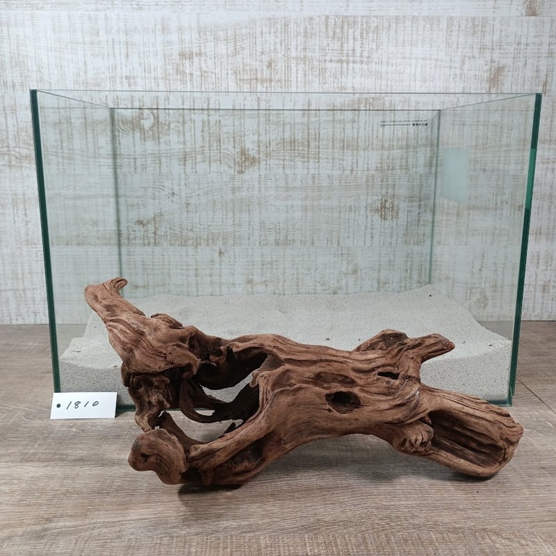流木　流木　自然木 GEX（ジェックス） 天然流木 Mサイズ（約30〜40cm） 1本 形状