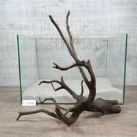ネシア流木 ブラックタイプ　2Lサイズ　1点ものNo.1923【W約42cm】
