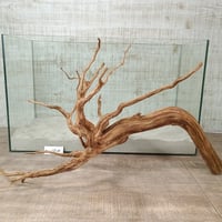 BIGネシア流木ブラウンタイプ　3Lサイズ　1点ものNo.1820B【W約65cm】