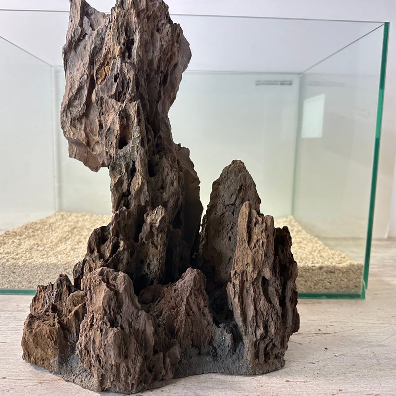 気孔石山（美型） 一点物の水槽オブジェ No. 4947 (45cm水槽)(W約23cm/H