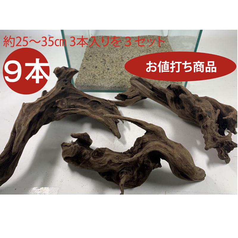 3本組マングローブ系流木 Sサイズ15cm〜25cm （合計3本） No