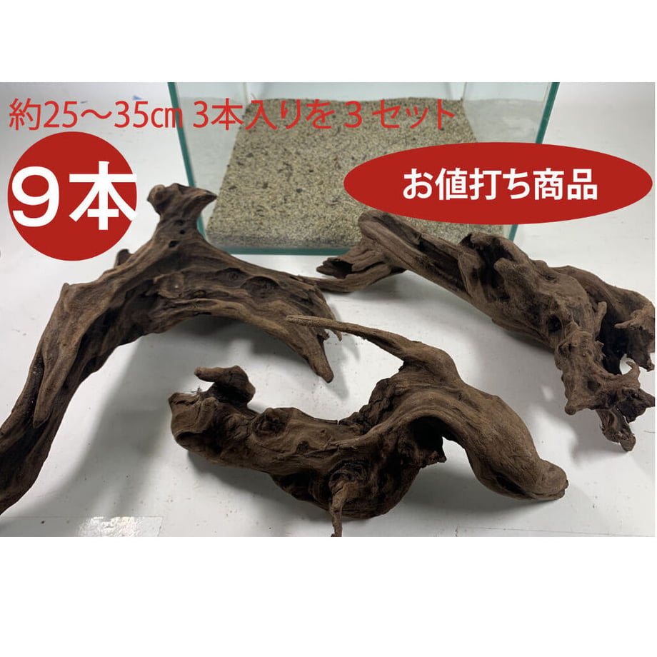 60797a3b2305572d6c0ea2b8