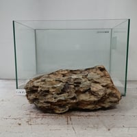 BIG気孔石塊　１点もの　No.1651（W約33cm)(45cm水槽）