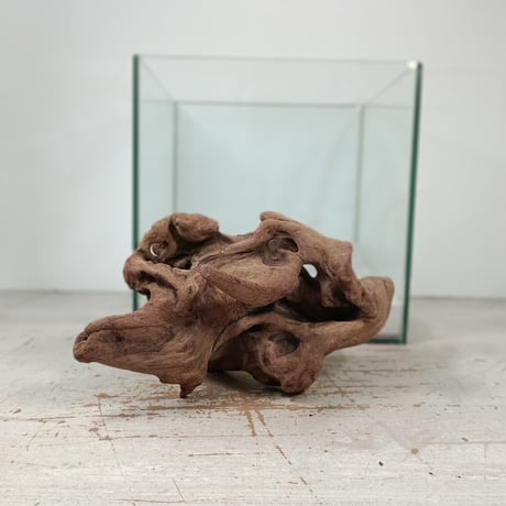 CATEGORY Mサイズ | 流木専門店のアクアリバー/アクアリウム/グリーン