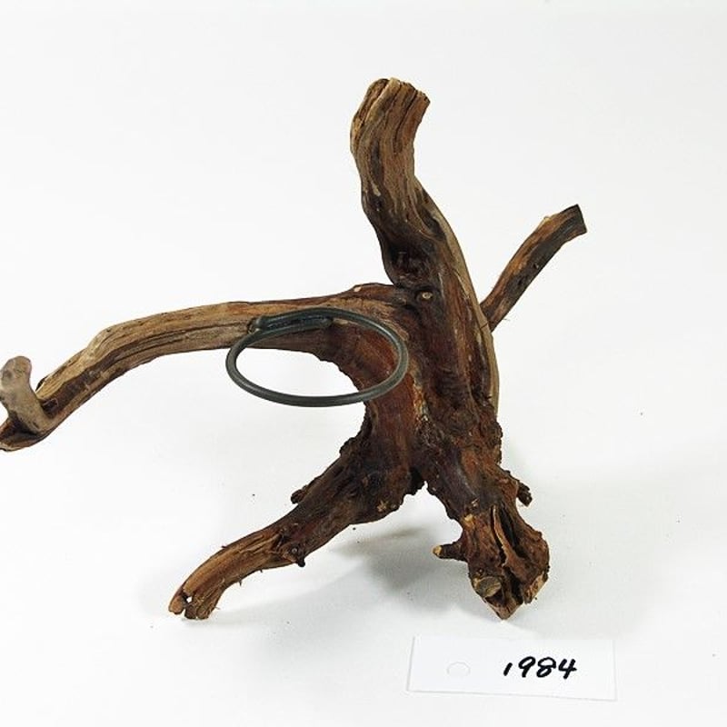 1.5号鉢ホルダー付き流木 卓上型 No.1984 | 流木専門店のアクアリバー