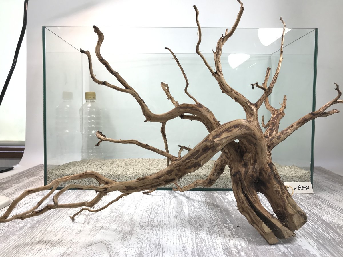 流木③ ネシア系流木 ブラウンタイプ 3L 入荷いたしました！ | 流木専門店の