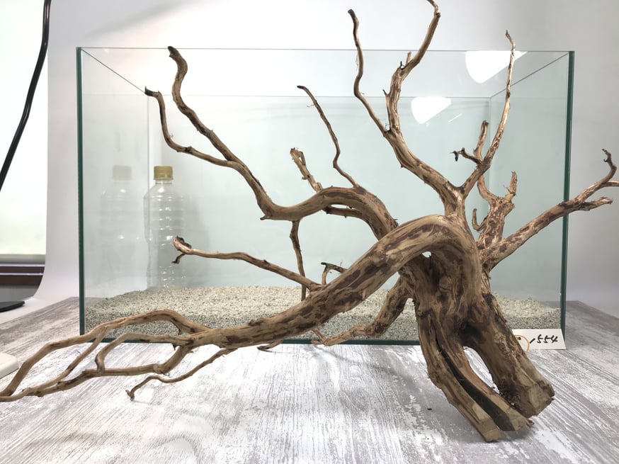 ネシア系流木 ブラウンタイプ 3L 入荷いたしました！ | 流木専門店の