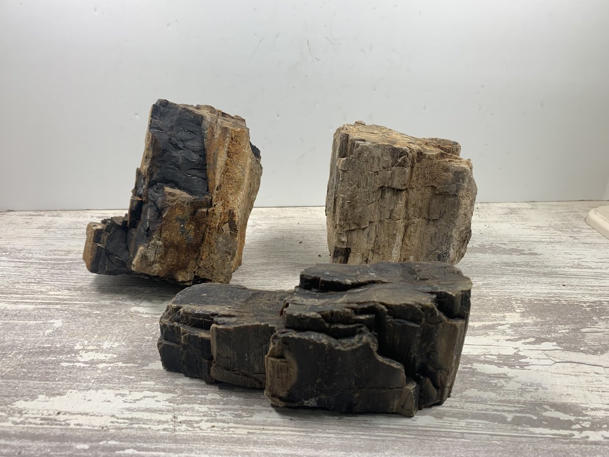 木化石・MIX（レギュラー3kg セット＋ミニ1kg）セット（kgあたり600円