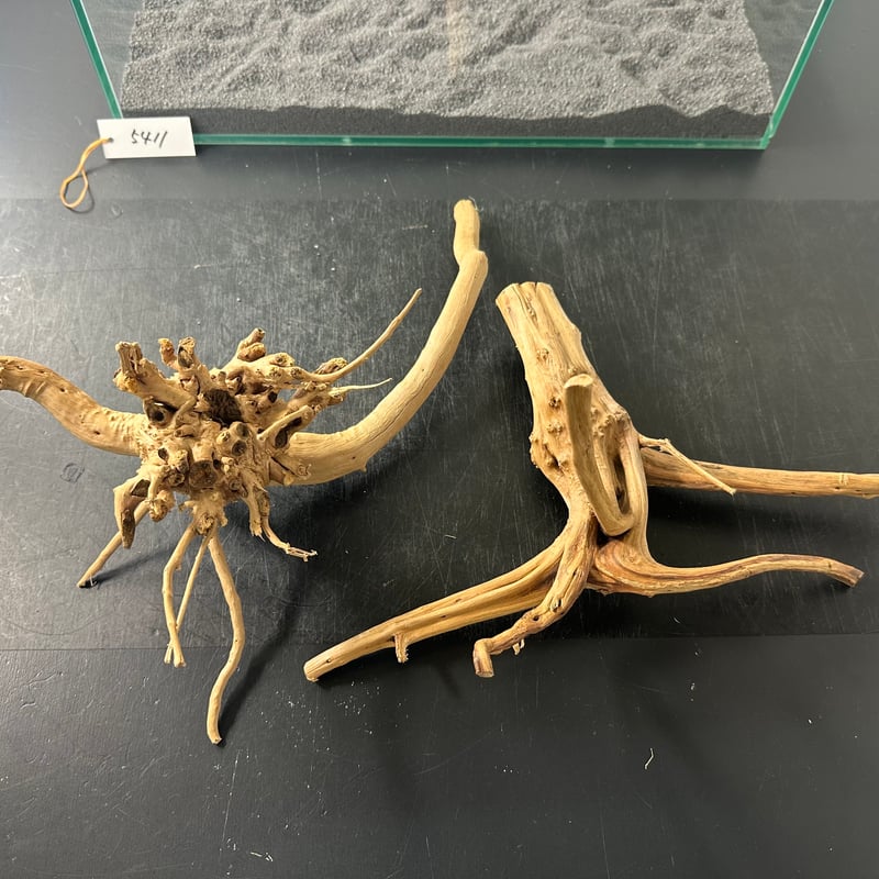 2本組ブランチウッド Lサイズ/オンリーワン（1点ものW約30前後）No