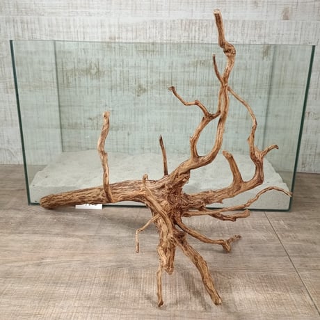お買い得ロングネシア流木 ブラウンタイプ　3Lサイズ　1点ものNo.1820A【W約 59cm】
